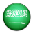 Flag Of Saudi Arabia Icon 48x48 png